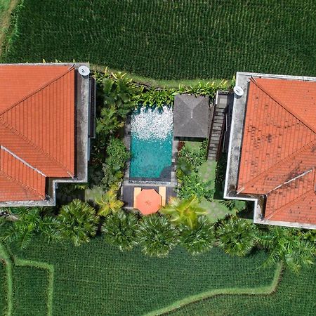 Cenik Villa Ubud エクステリア 写真