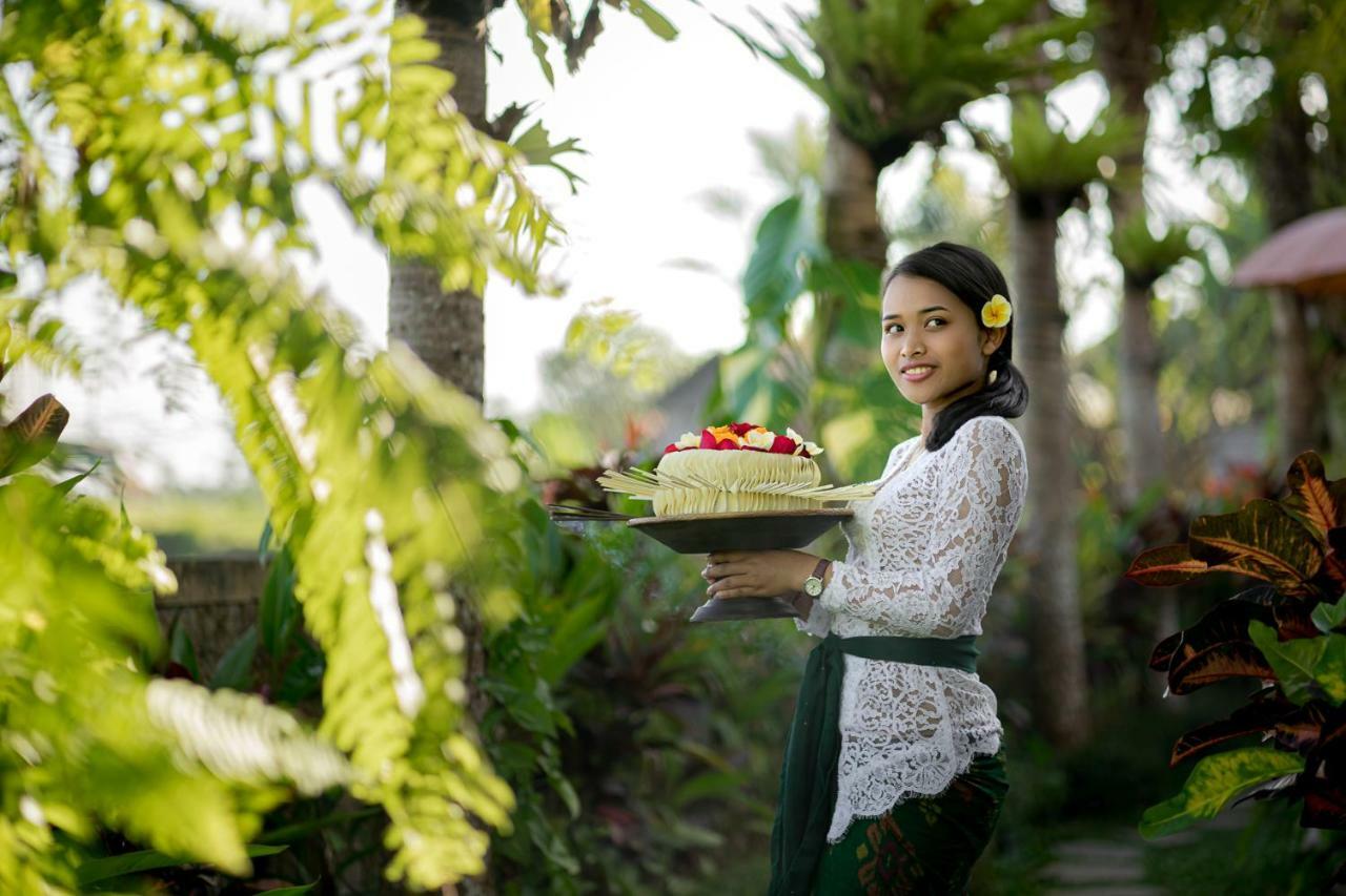 Cenik Villa Ubud エクステリア 写真