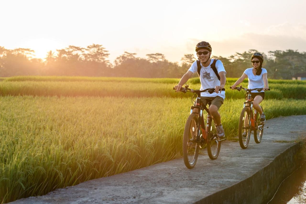 Cenik Villa Ubud エクステリア 写真