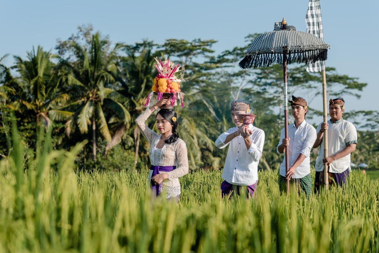 Cenik Villa Ubud エクステリア 写真