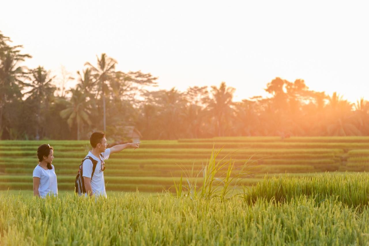 Cenik Villa Ubud エクステリア 写真