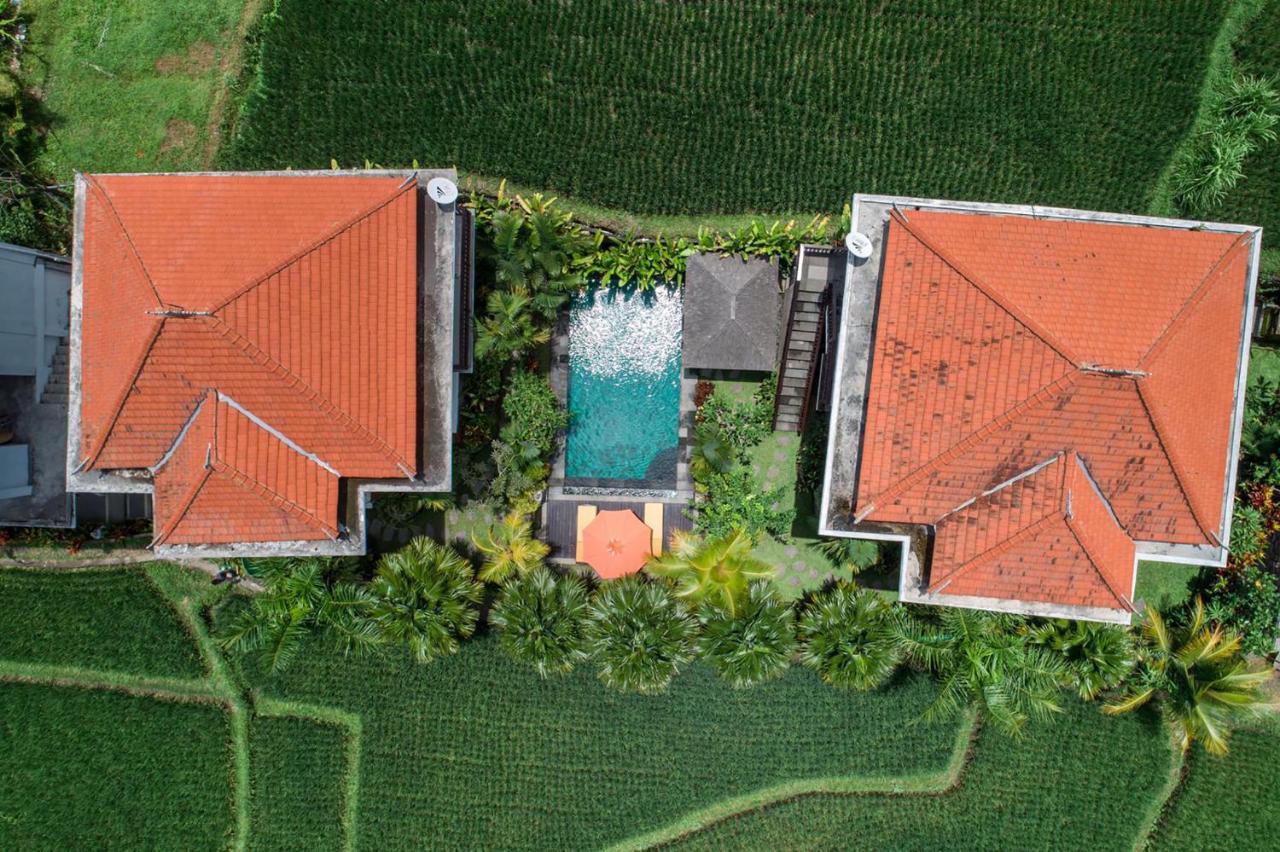 Cenik Villa Ubud エクステリア 写真